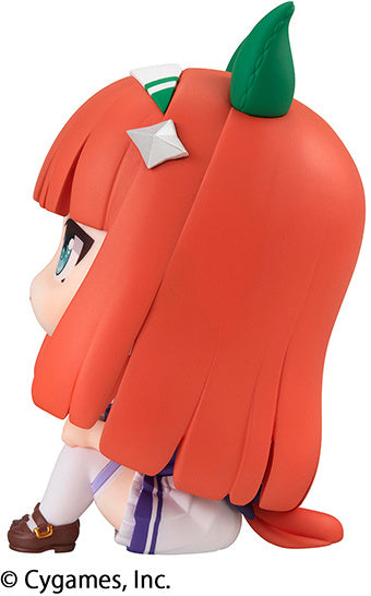 PREORDER Lookup Uma Musume Pretty Derby Special Week&Silence Suzuka Set 【with gift】