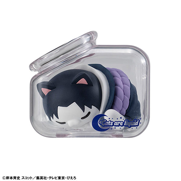 PREORDER Mega Cat Project Naruto Shippuden Goodnight Nyaruto!: 1Box (12pcs)