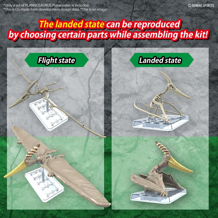 PREORDER Plannosaurus Pteranodon Model Kit