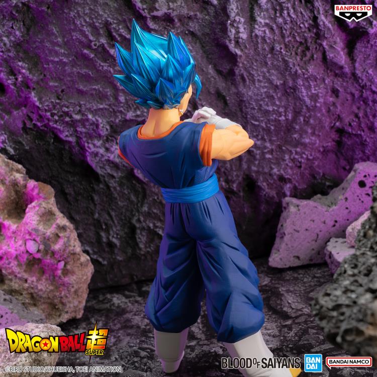 PREORDER Dragon Ball Super Blood of Saiyans Special XIX Super Saiyan God Super Saiyan Vegito