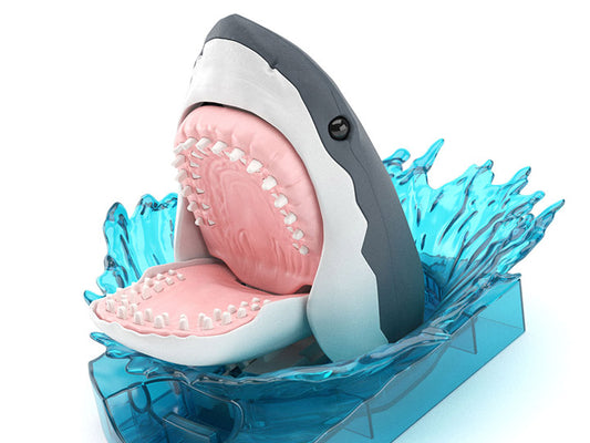 IN STOCK Exploring Lab Nature Shark Model Kit