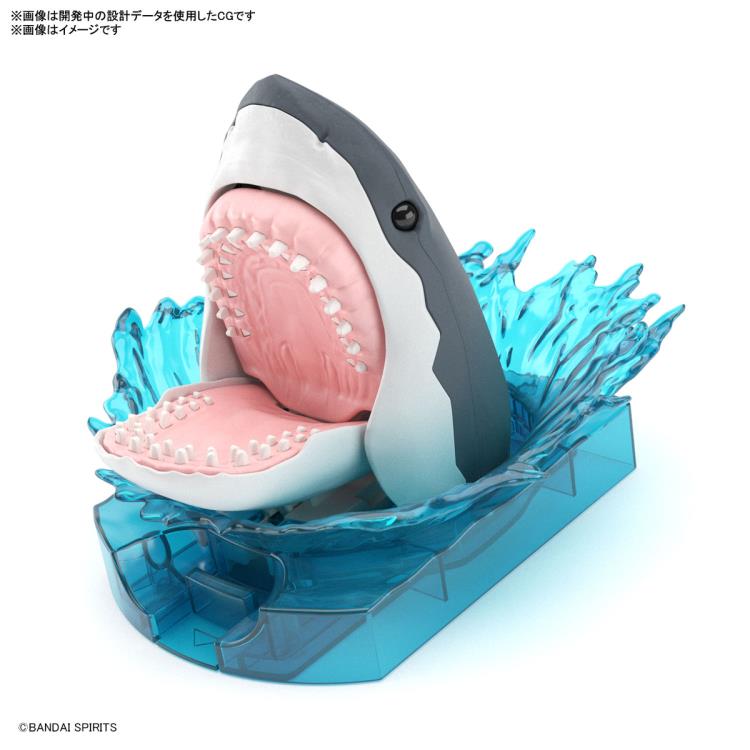 IN STOCK Exploring Lab Nature Shark Model Kit