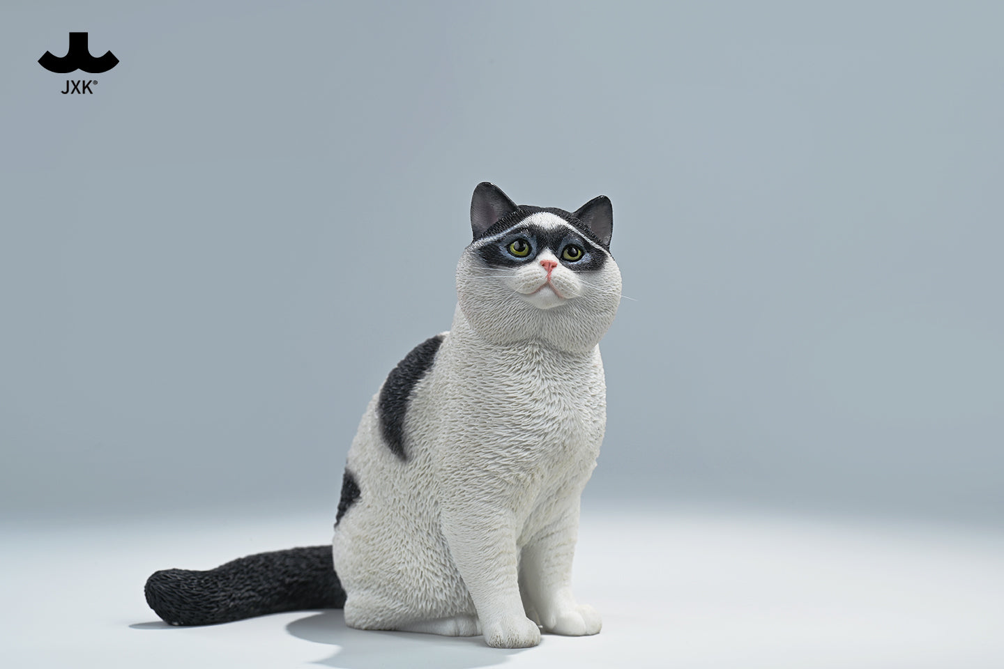 PREORDER JXK Zorro Cat CW2303
