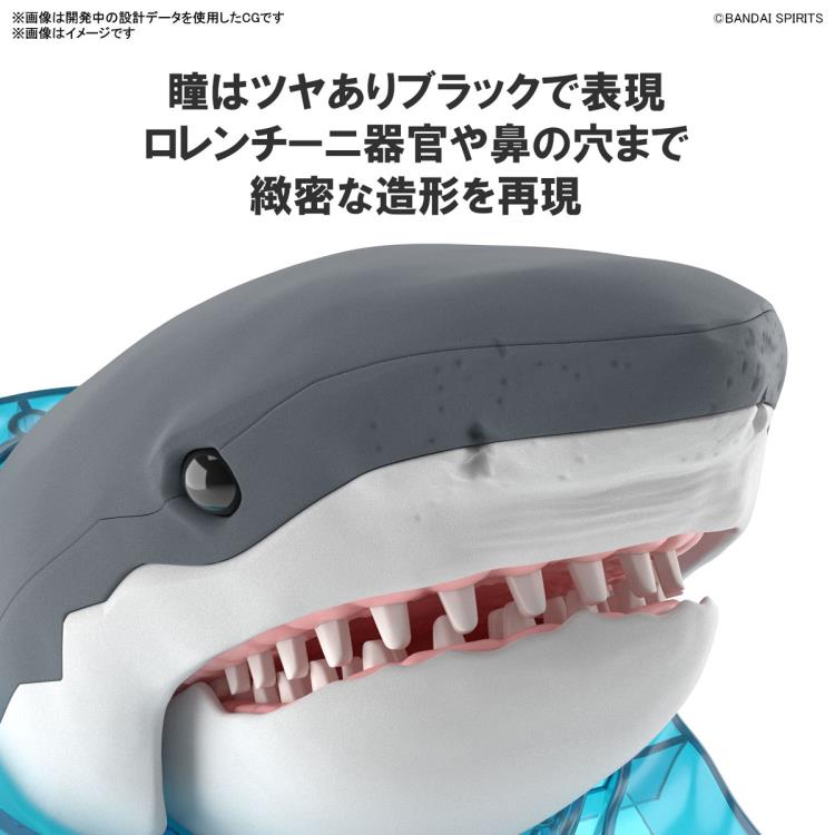 IN STOCK Exploring Lab Nature Shark Model Kit