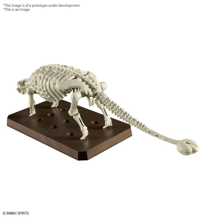 PREORDER PLANNOSAURUS Ankylosaurus