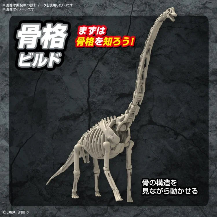 PREORDER PLANNOSAURUS Brachiosaurus