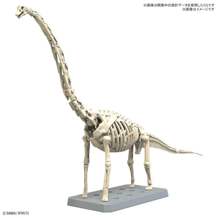 PREORDER PLANNOSAURUS Brachiosaurus