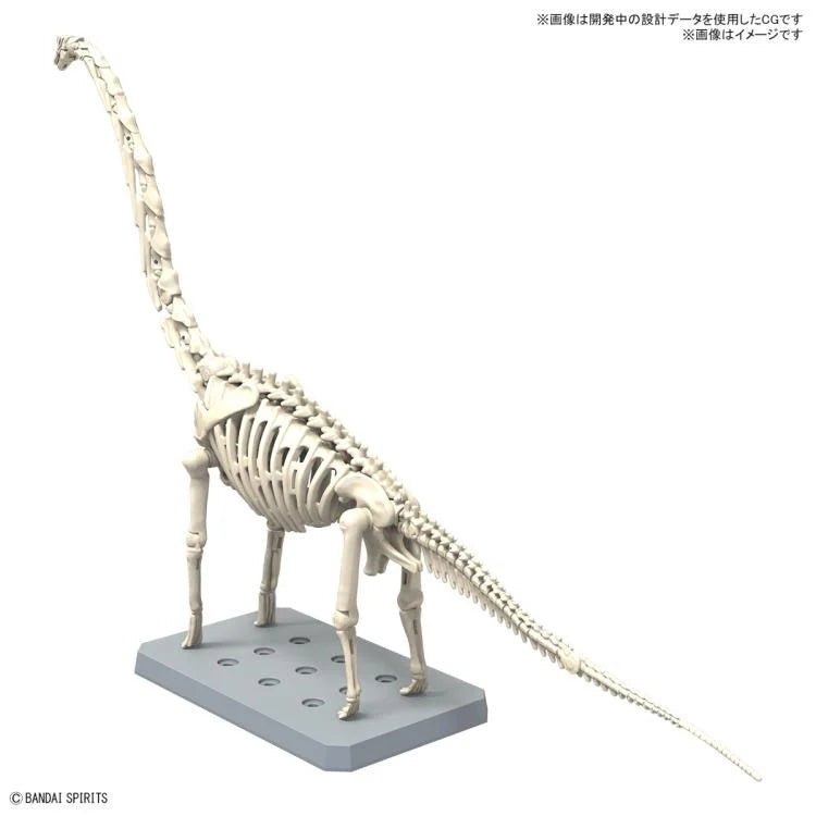 PREORDER PLANNOSAURUS Brachiosaurus