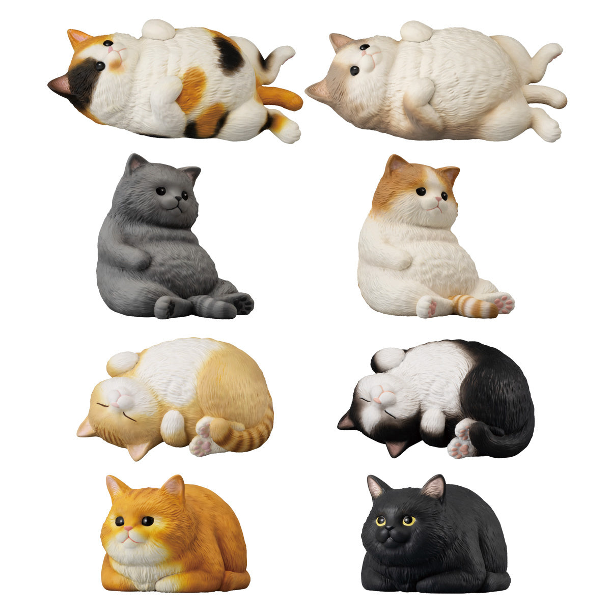 PREORDER Mocchiri Kororin Cat 1Box 12pcs