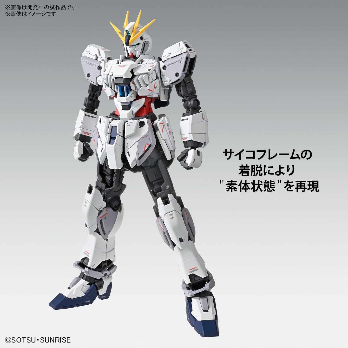 IN STOCK MG 1/100 NARRATIVE GUNDAM C-PACKS Ver.Ka