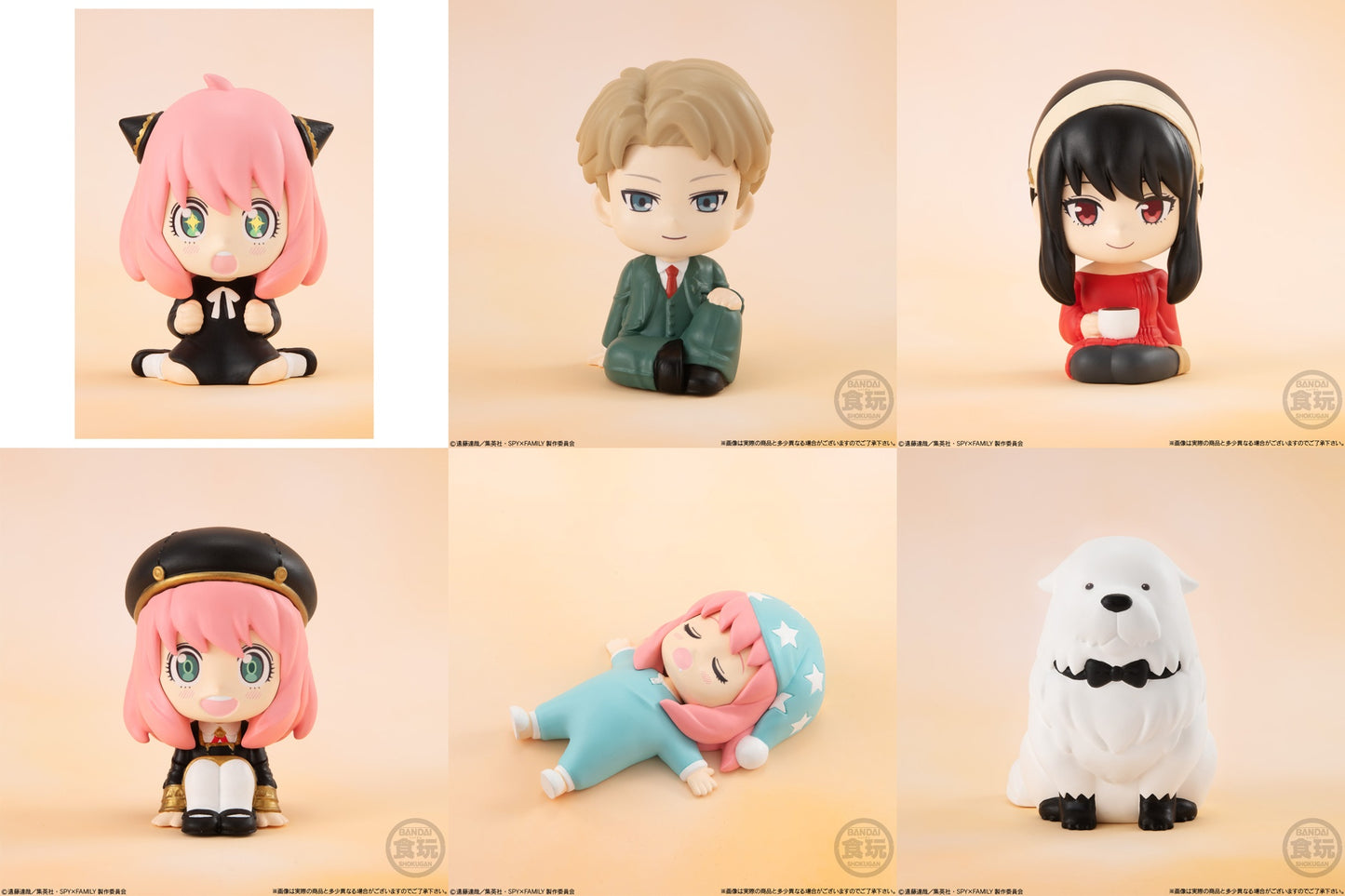 PREORDER RIRAKOTTO Rela Cot SPY x FAMILY: 1Box (10pcs)