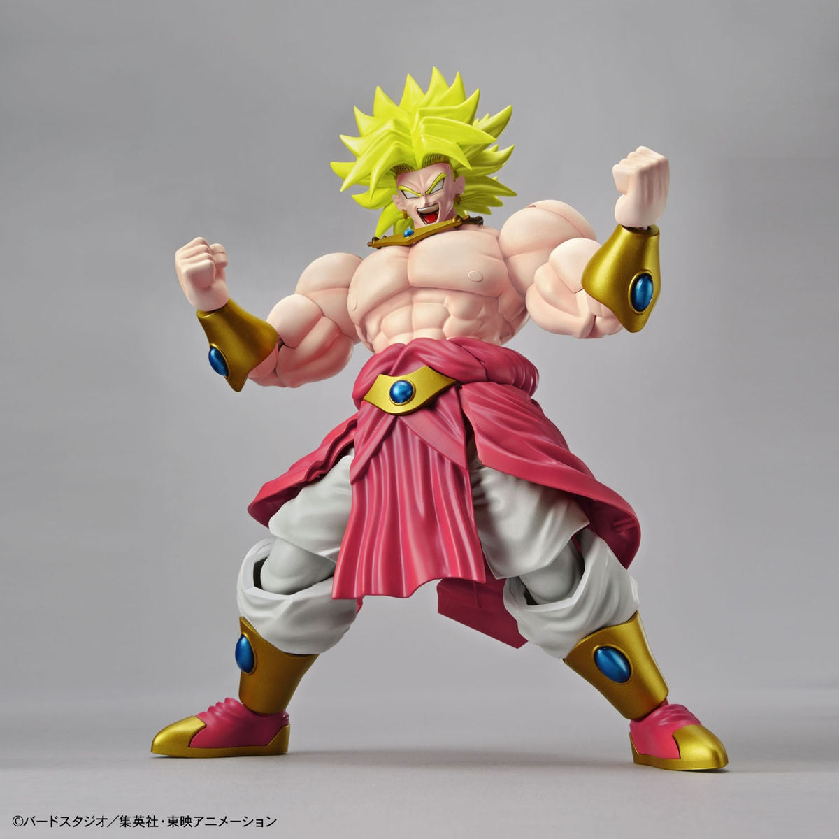 PREORDER Figure-rise Standard LEGENDARY SUPER SAIYAN BROLY(PKG renewal)