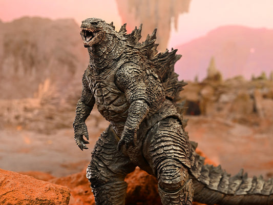 PREORDER EBG0430 - Godzilla x Kong: The New Empire - Godzilla Re-evolved Ver. 18 cm Non Scale Action Figure